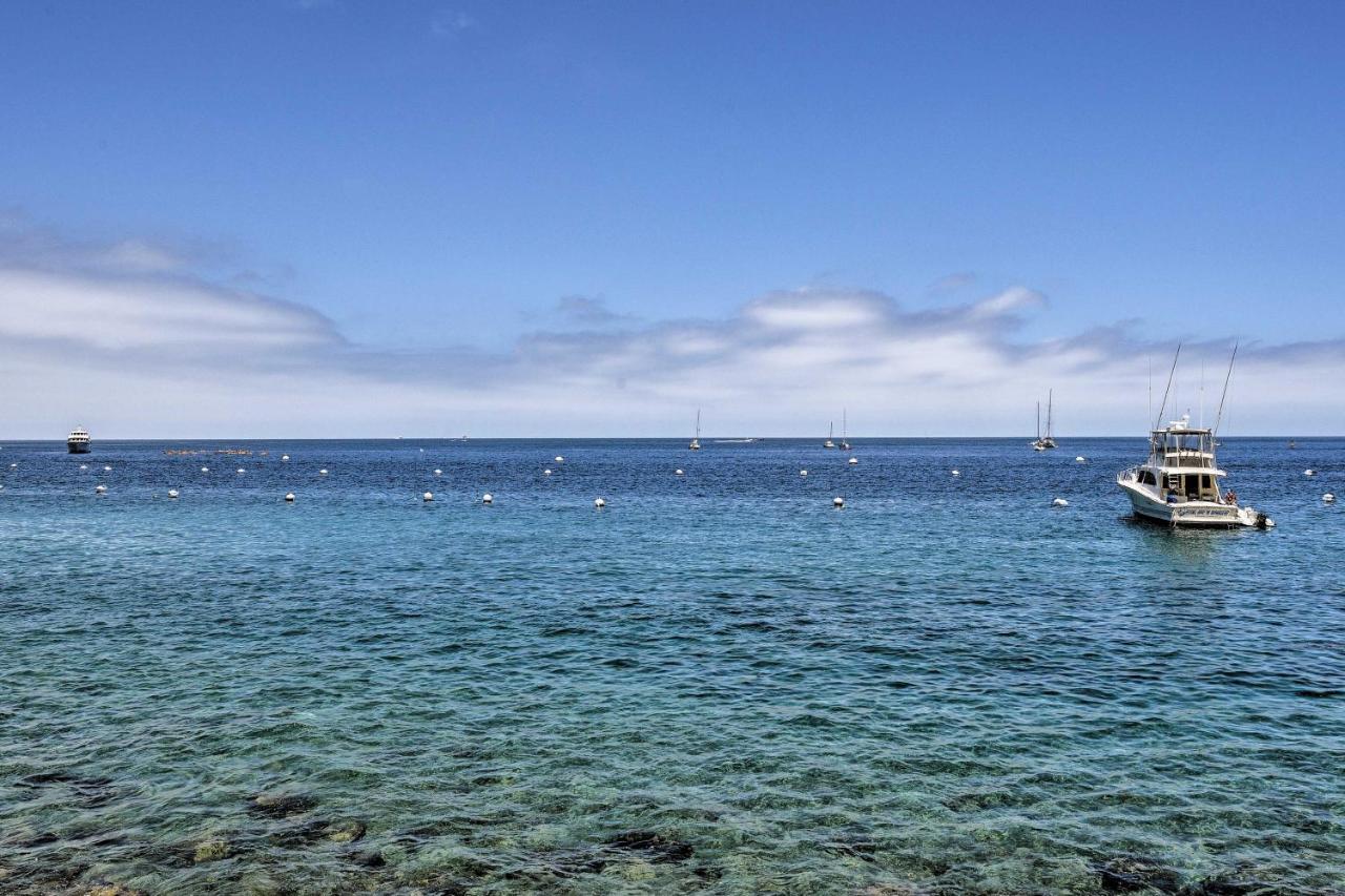 Catalina Island Cottage - Walk To Main St And Beach! アバロン エクステリア 写真